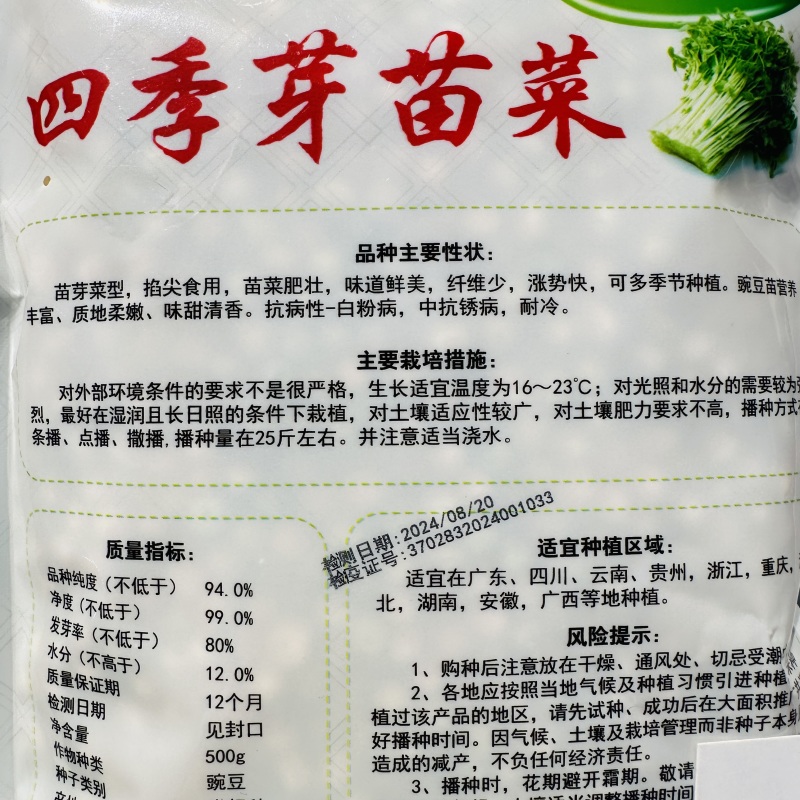 四季豌豆苗种籽春秋芽苗菜种子味甜鲜嫩无须速生掐尖芽苗菜种
