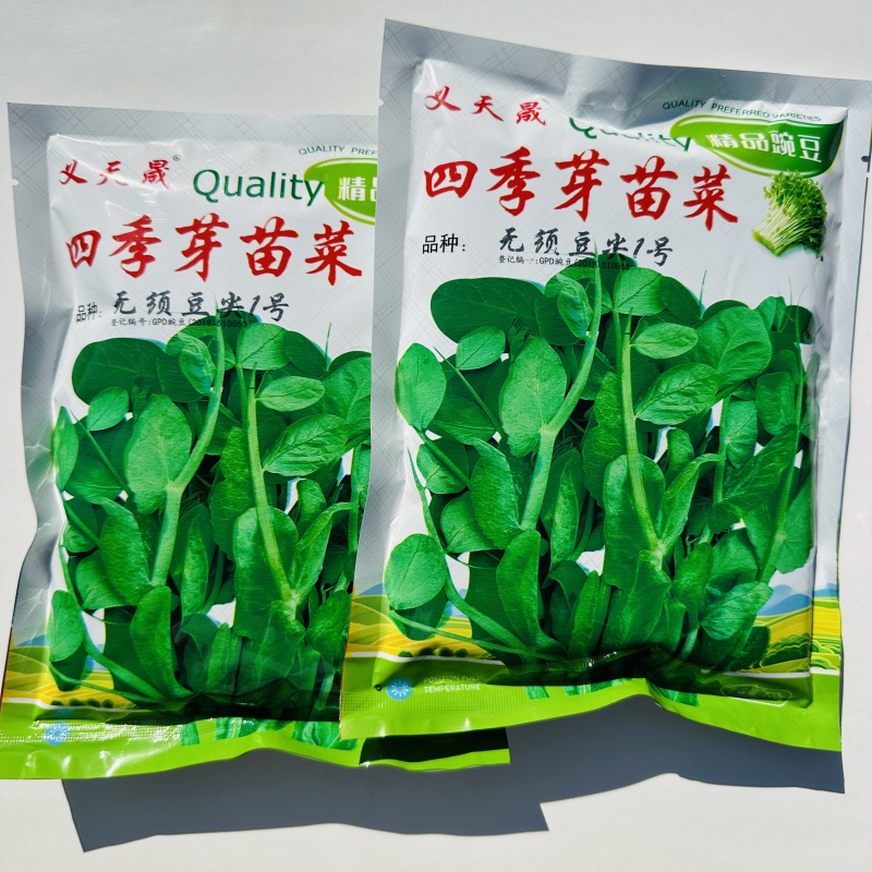 四季豌豆苗种籽春秋芽苗菜种子味甜鲜嫩无须速生掐尖芽苗菜种