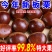 山东蒙阴油栗香甜肉黄，产地直供，量大从优炒锅批发专用