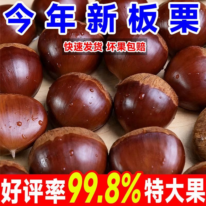 山东蒙阴油栗香甜肉黄，产地直供，量大从优炒锅批发专用