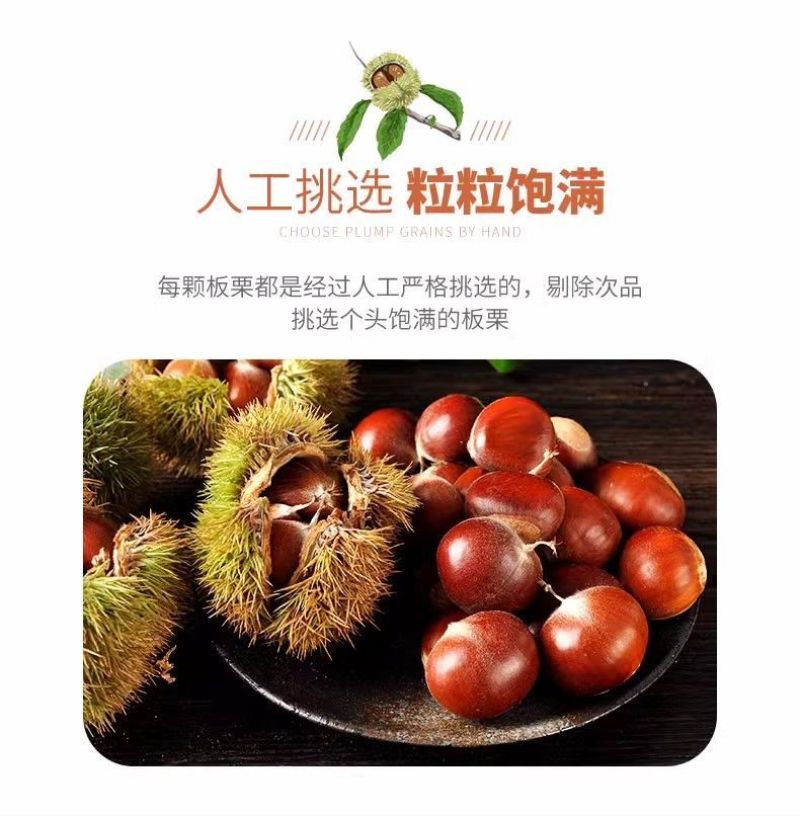 山东蒙阴油栗香甜肉黄，产地直供，量大从优炒锅批发专用