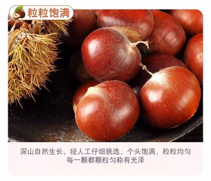 山东蒙阴油栗香甜肉黄，产地直供，量大从优炒锅批发专用
