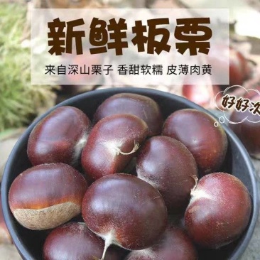 精品油栗，皮薄肉黄，香糯可口，质量保证。
