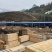 杨方木