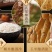 国蒿绿豆酒500mlx6论江山52度1.5升/瓶