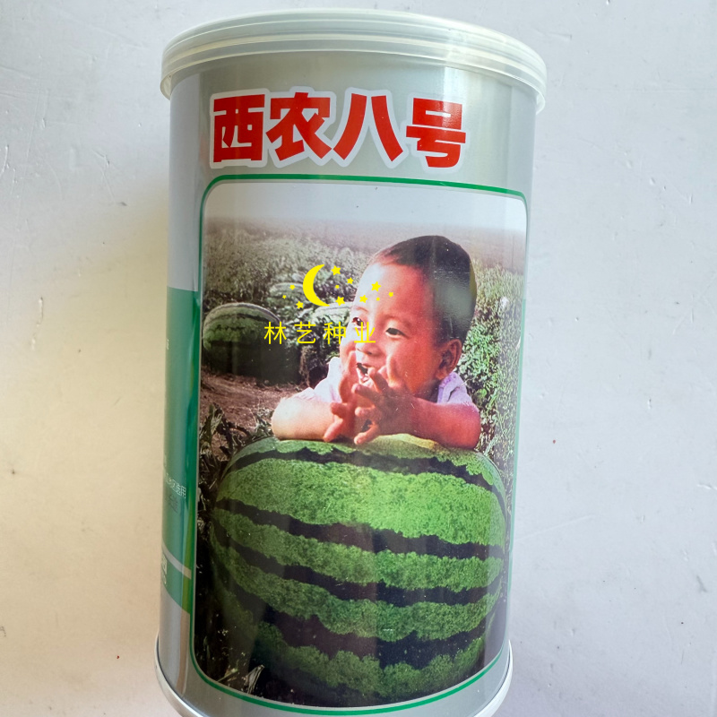西农八号西瓜种子中晚熟花皮大果椭圆形耐重茬耐储运