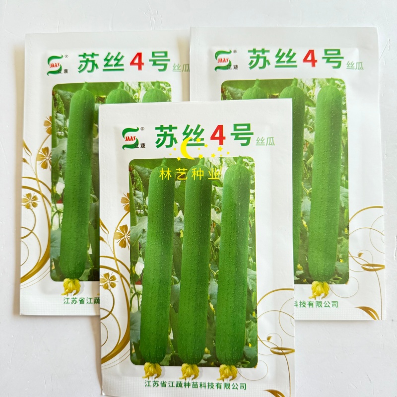 苏丝4号丝瓜种子高产抗病耐热耐寒农家菜园大田基地种植