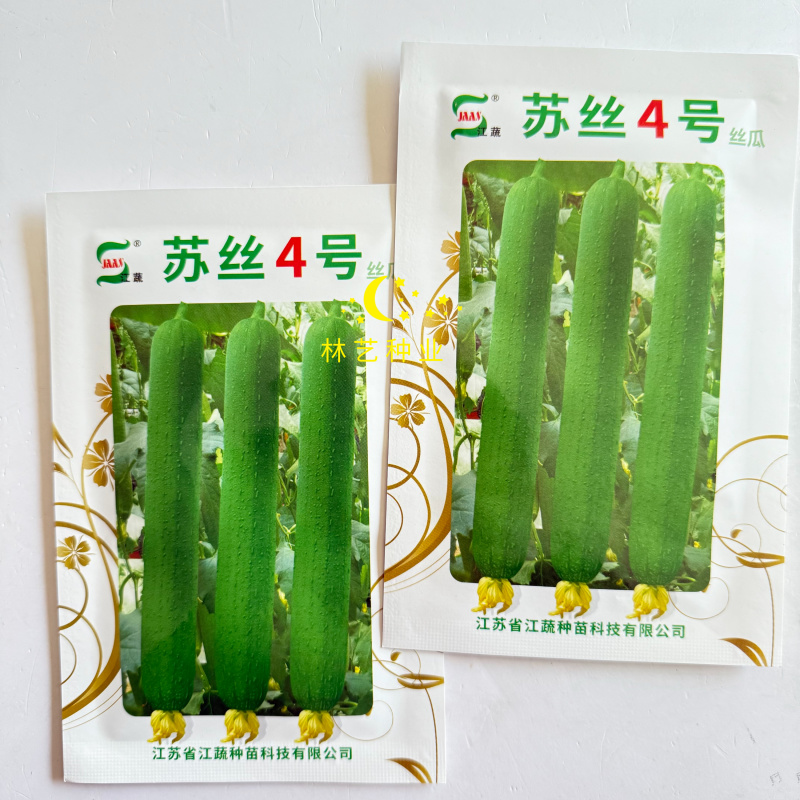 苏丝4号丝瓜种子高产抗病耐热耐寒农家菜园大田基地种植