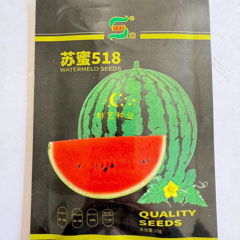 苏蜜518西瓜种子早熟中果型果型高圆西瓜种籽糖度达13度