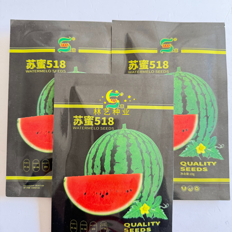苏蜜518西瓜种子早熟中果型果型高圆西瓜种籽糖度达13度