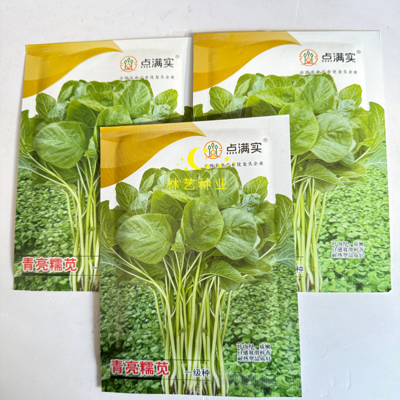 点满实青亮糯苋种子四倍体茎绿白色叶片大耐热耐湿生长快软糯