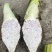 广西正宗荔浦芋头种子（广西大石头3万亩荔浦芋头基地）