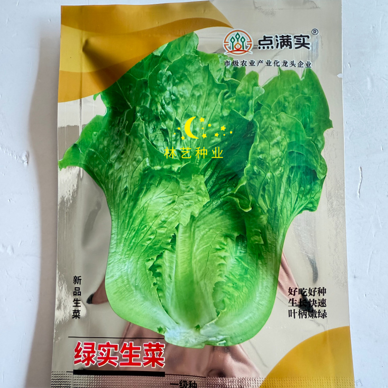 点满实绿实生菜种子速生直立半结球耐抽苔生菜种籽