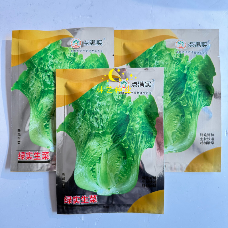 点满实绿实生菜种子速生直立半结球耐抽苔生菜种籽