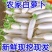 湖北天门白萝卜/打霜白萝卜/产区直发/大量有货