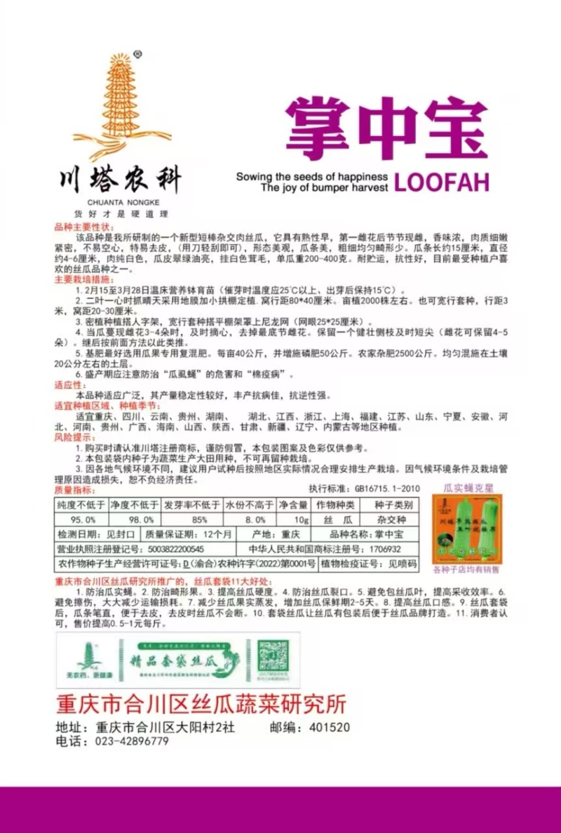 丝瓜种子掌中宝精品油亮短棒丝瓜早熟瓜码密硬度好