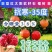 大果特大软籽红太阳石榴树苗甜石榴突尼斯无籽盆栽地栽南北方