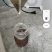 纯蜂蜜