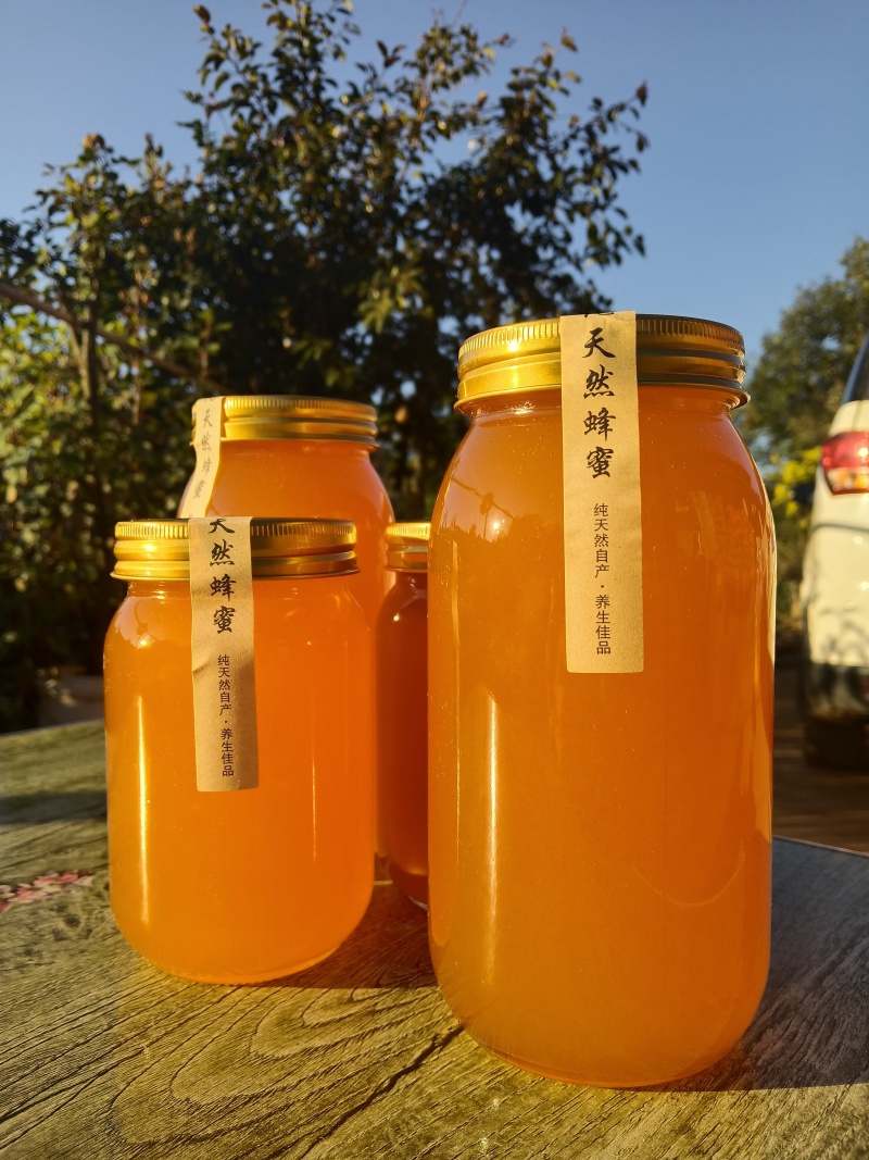 正宗云南高山野生蜂蜜，蜂蜜中的天花板了，新鲜蜂蜜已经上市