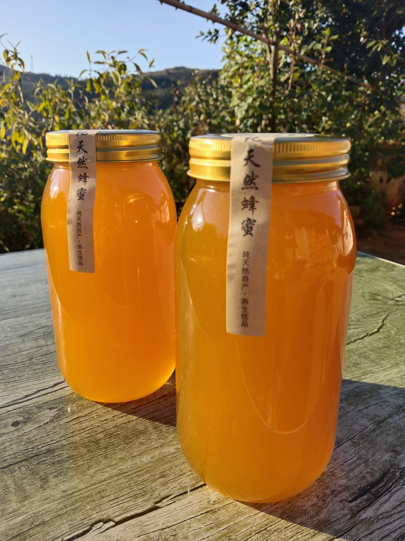 正宗云南高山野生蜂蜜，蜂蜜中的天花板了，新鲜蜂蜜已经上市