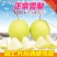 河北雪花梨正宗雪梨蒸煮冰糖雪梨水批发雪花梨
