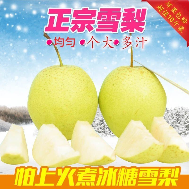 河北雪花梨正宗雪梨蒸煮冰糖雪梨水批发雪花梨