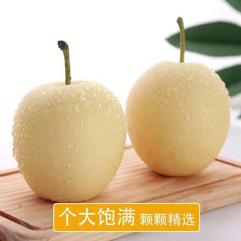 雪梨皇冠梨雪花梨水果新鲜梨子应季水果批发整箱梨子薄皮润肺