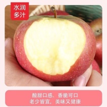怀旧小国光苹果酸甜新鲜苹果水果正宗东北老国光小果光
