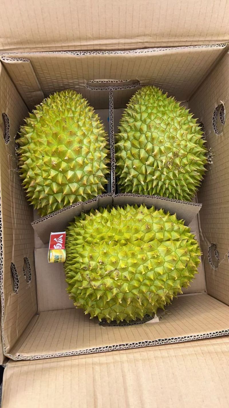 泰国金枕B果支持平台发货