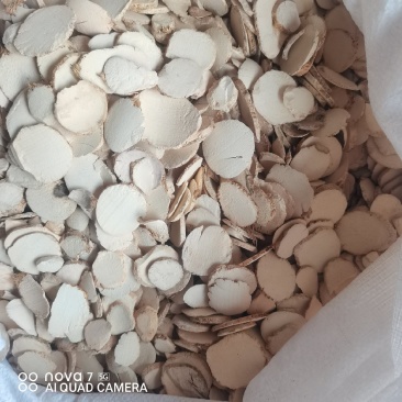 三棱中药材三棱片规格齐全大货供应量大从优