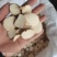 三棱中药材三棱片规格齐全大货供应量大从优