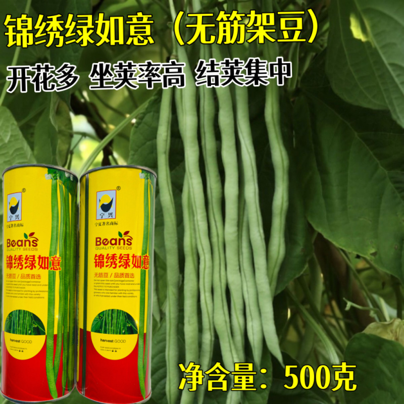 金玉传奇小金豆种子加长版高产无筋肉厚豆角种籽春秋播种架豆