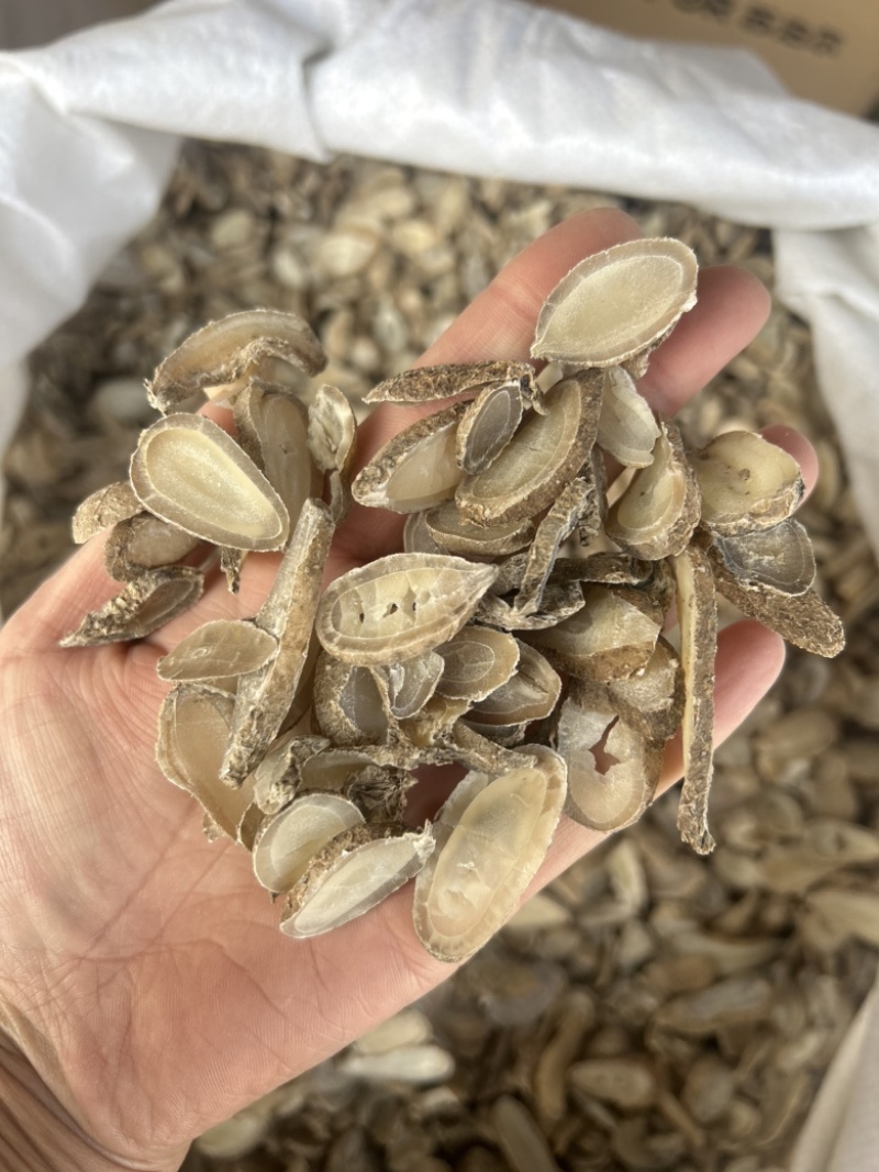 郁金新货广西郁金货干净一手货源质量保证