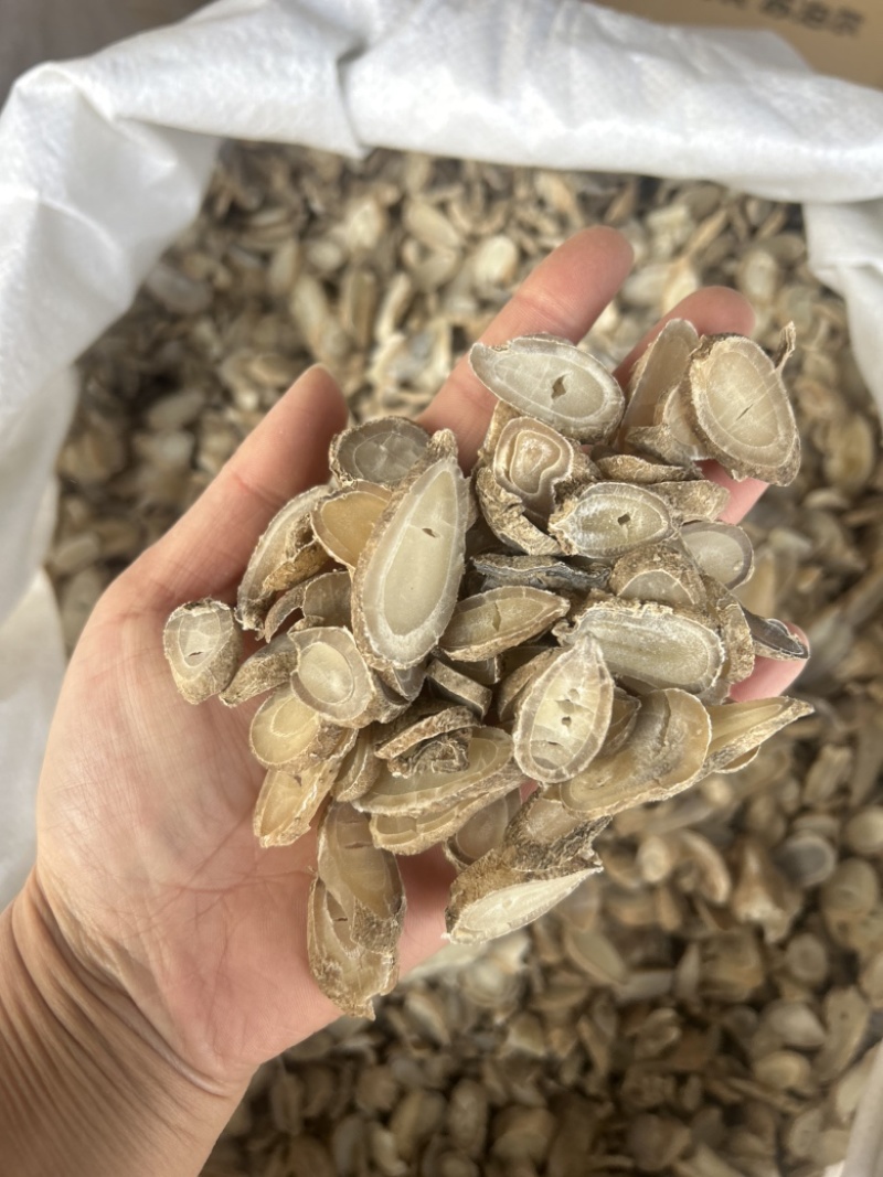 郁金新货广西郁金货干净一手货源质量保证