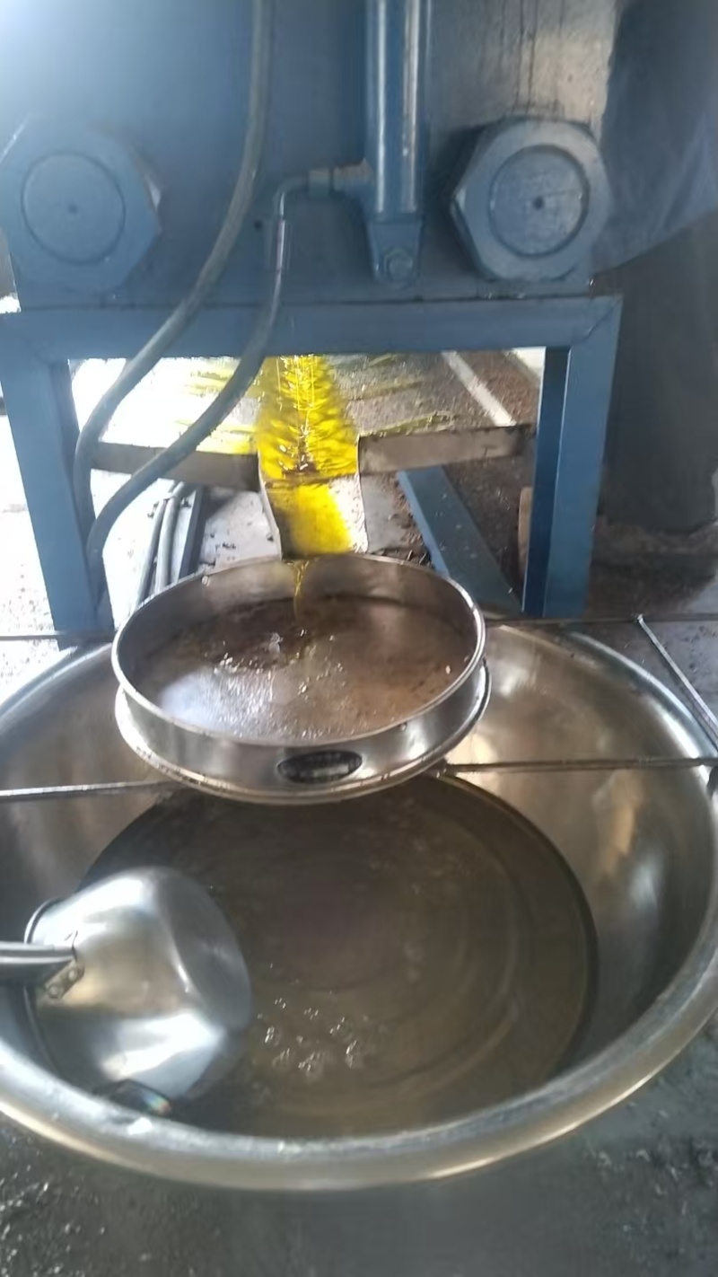 新干查籽油