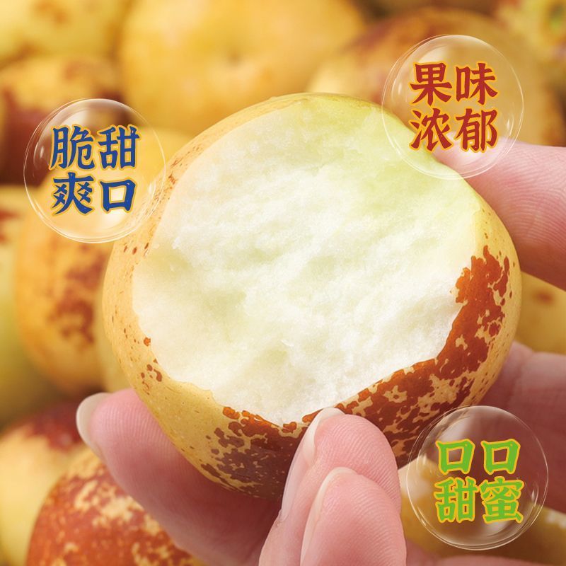 【彩箱】正宗冰糖冬枣净重4.5斤沾化冬枣新鲜脆甜水果