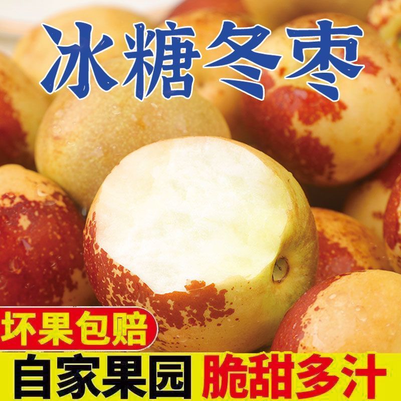 【彩箱】正宗冰糖冬枣净重4.5斤沾化冬枣新鲜脆甜水果