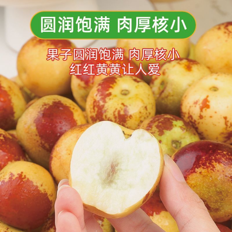 【彩箱】正宗冰糖冬枣净重4.5斤沾化冬枣新鲜脆甜水果