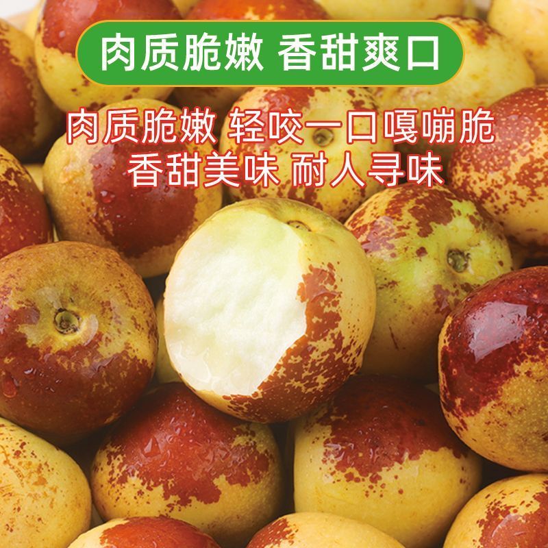 【彩箱】正宗冰糖冬枣净重4.5斤沾化冬枣新鲜脆甜水果