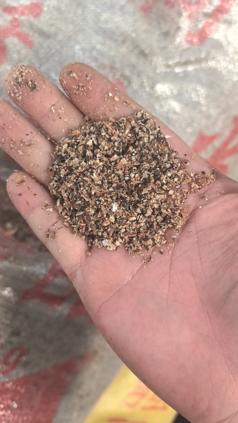 核桃仁沫子榨油料