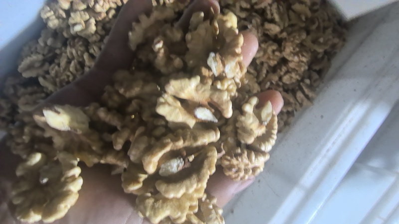 头路本地的尖白，尖普白，185的尖白，尖普白