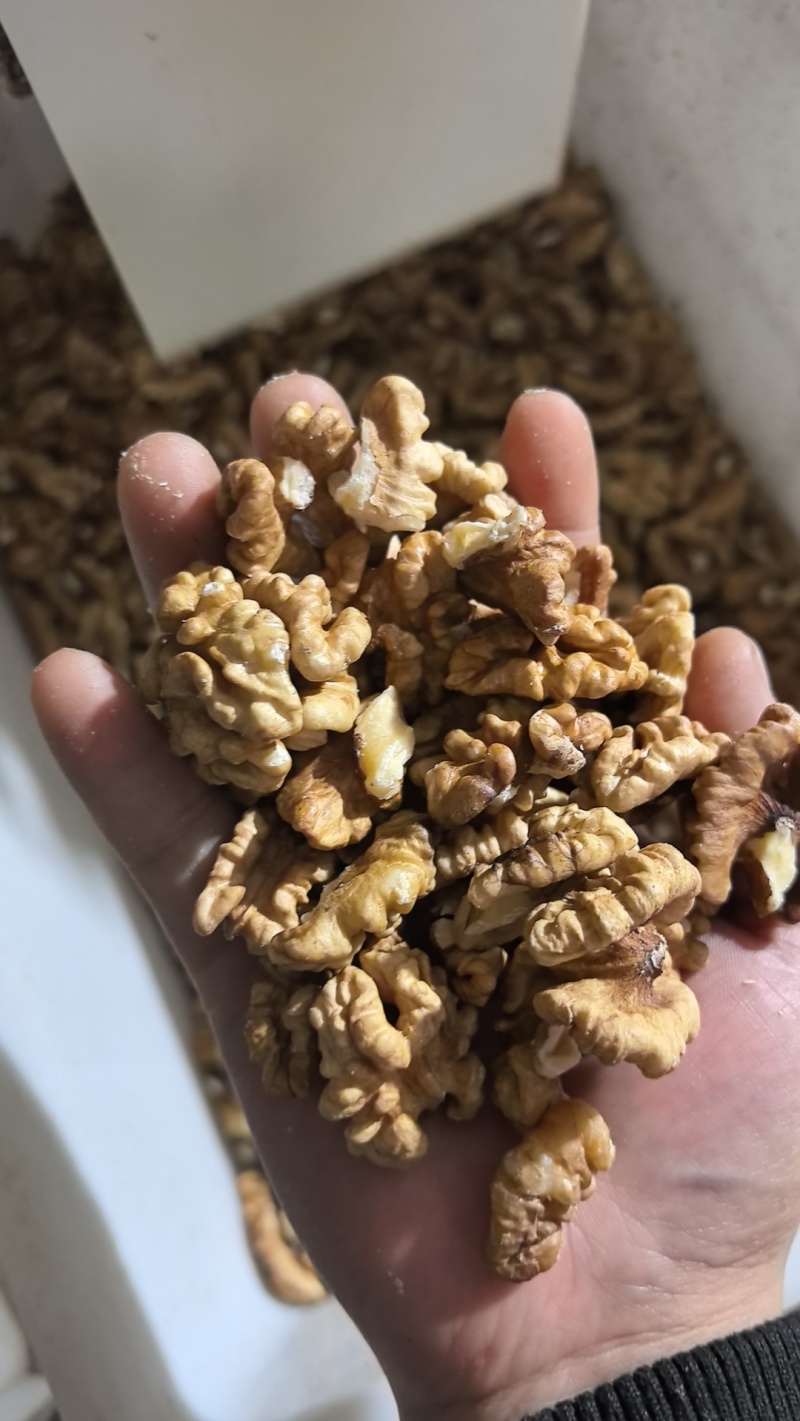 头路本地的尖白，尖普白，185的尖白，尖普白