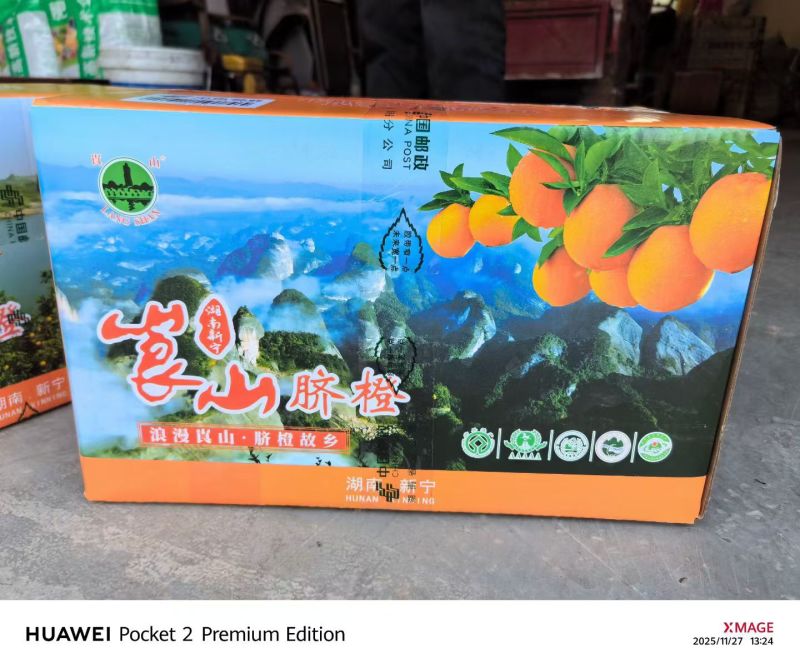 崀山脐橙一件代发