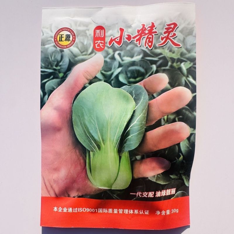 小墨仔矮箕青菜种子小棵型厚叶甜糯春秋播种耐寒耐热青菜种子