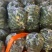 需要的与我联系