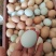 农家土鸡蛋，有黄壳，绿壳，