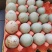 农家土鸡蛋，有黄壳，绿壳，