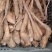 白玉山药豆苗