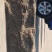 白术籽