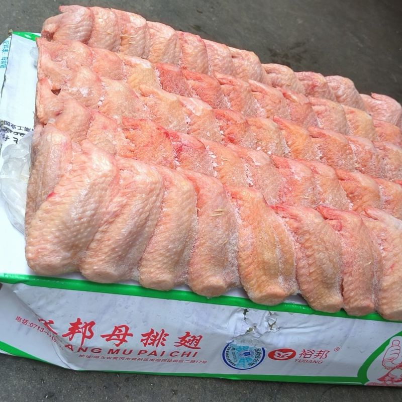 全翅一级（规格：6080）现货30吨左右！能力者私